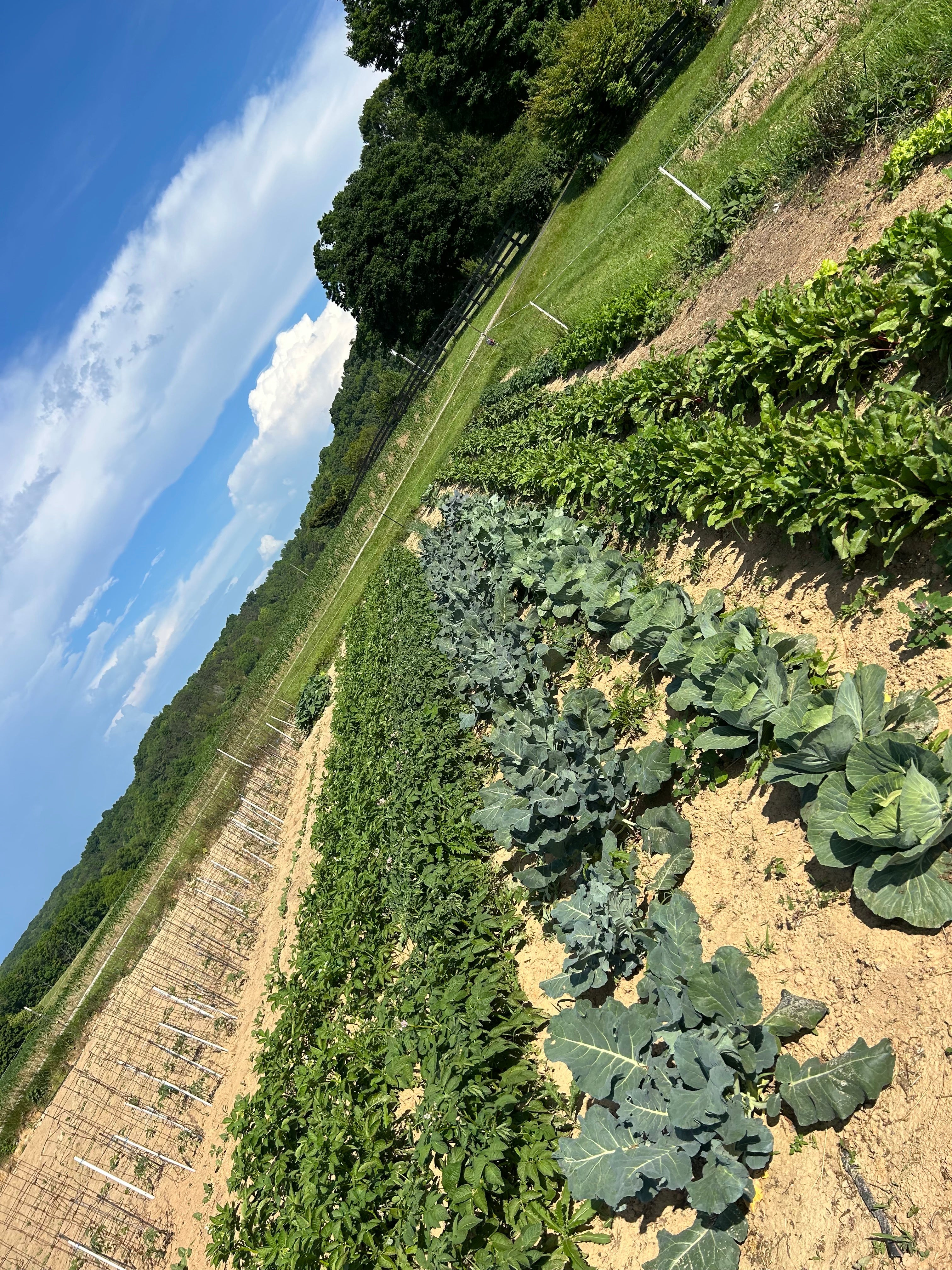Produce