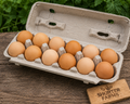 Farm Fresh Eggs 1 Dozen