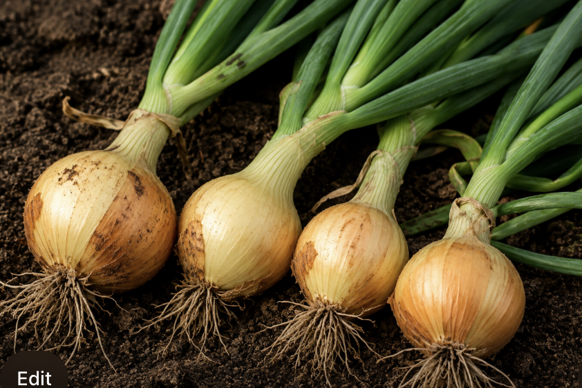 Onions