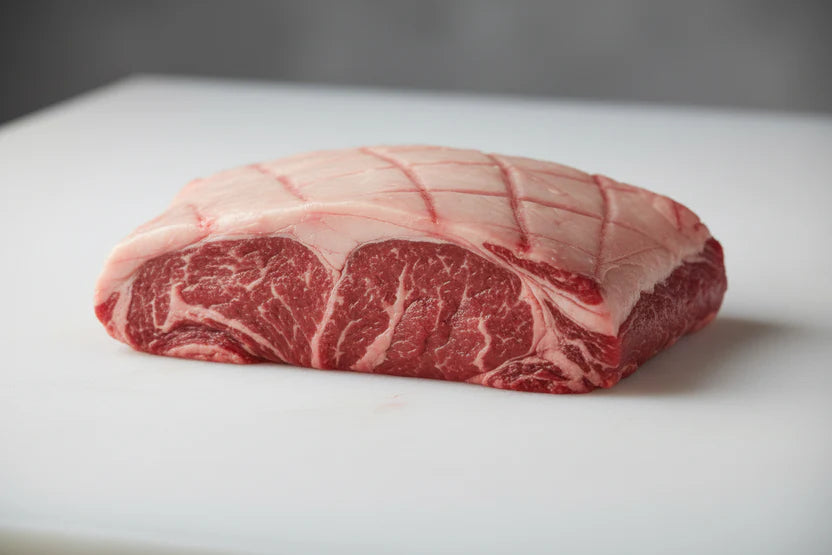 Coulotte 0.48 lbs